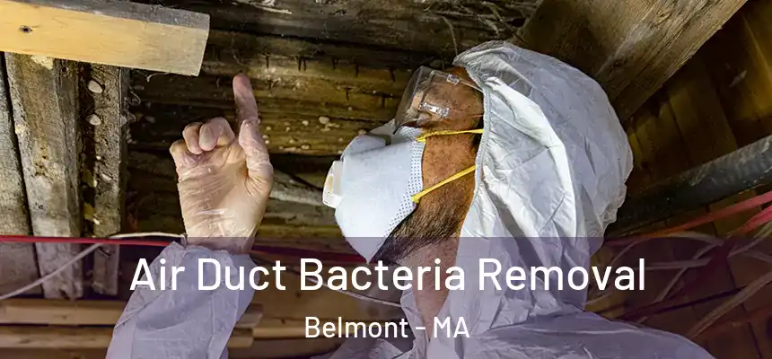 Air Duct Bacteria Removal Belmont - MA
