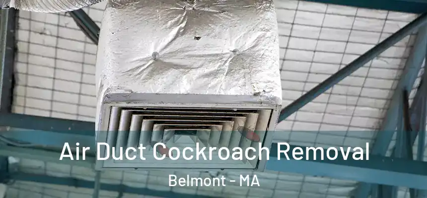 Air Duct Cockroach Removal Belmont - MA