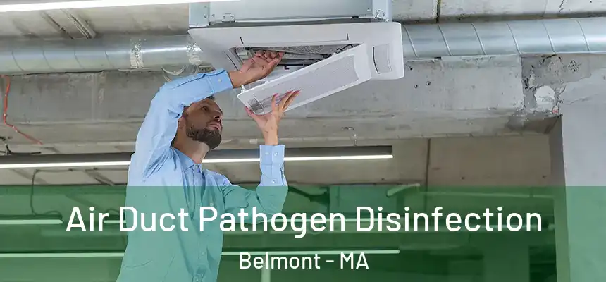 Air Duct Pathogen Disinfection Belmont - MA
