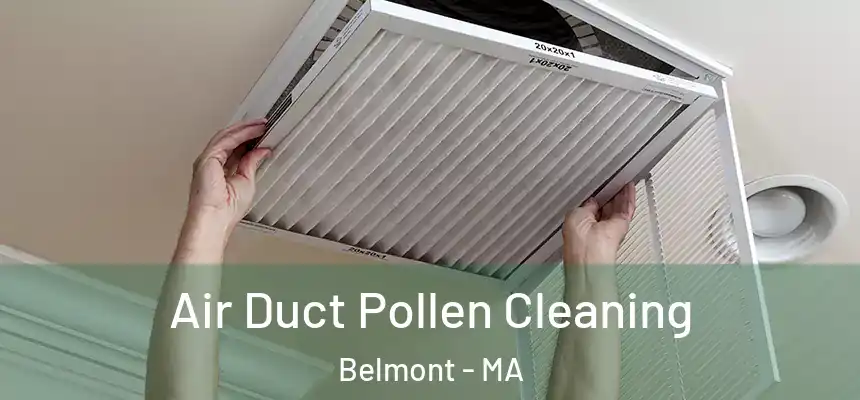 Air Duct Pollen Cleaning Belmont - MA