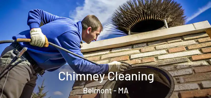  Chimney Cleaning Belmont - MA