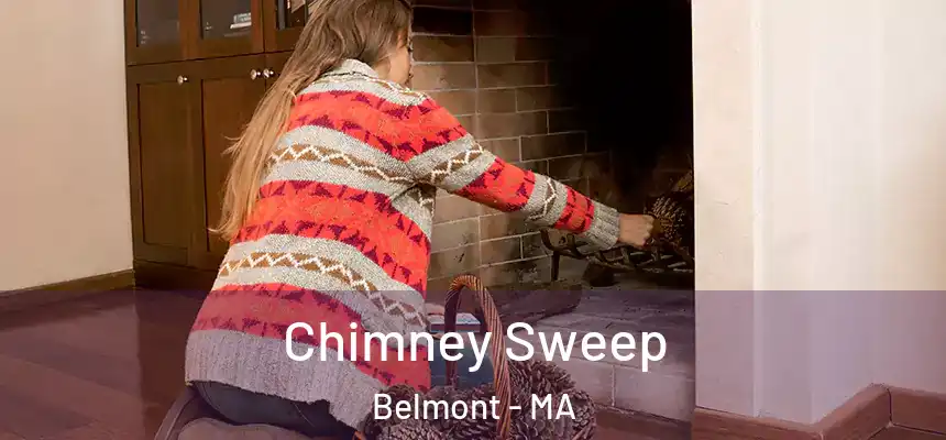  Chimney Sweep Belmont - MA