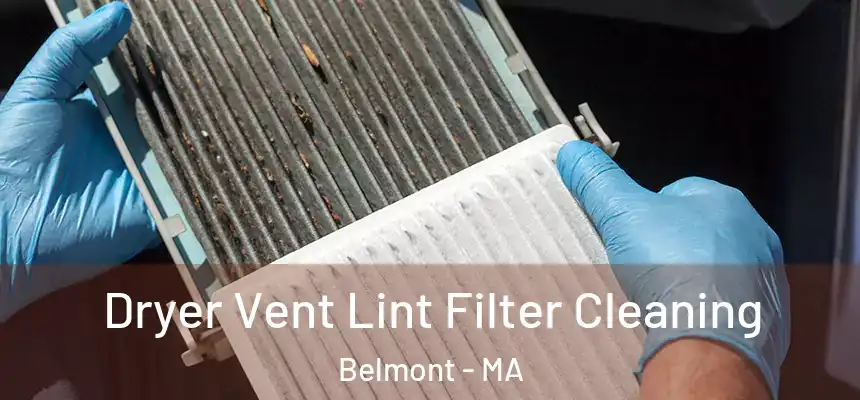 Dryer Vent Lint Filter Cleaning Belmont - MA