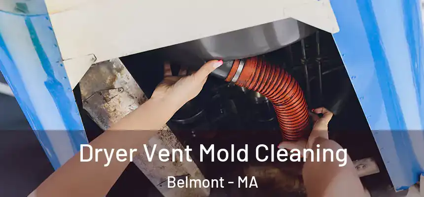 Dryer Vent Mold Cleaning Belmont - MA