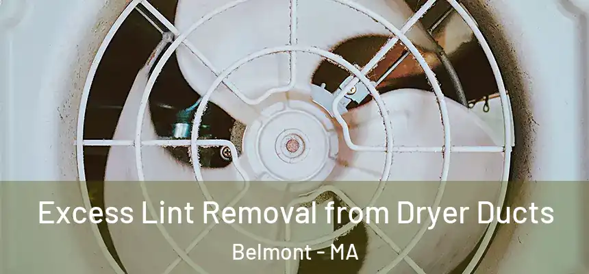 Excess Lint Removal from Dryer Ducts Belmont - MA