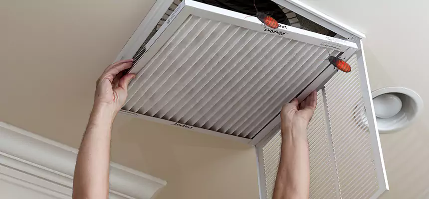 Preventive Cockroach-Proofing for Ducts in Belmont