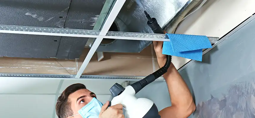 Our Air Duct Rodent Removal Services in Belmont, MA