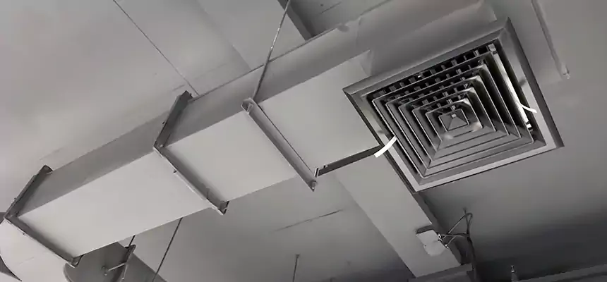 Restorative Allergy Relief Vent Cleaning – Coil, Blower & Housing Detail in Belmont