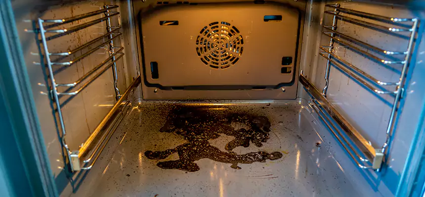 Our Dryer Vent Mold Cleaning Services in Belmont, MA