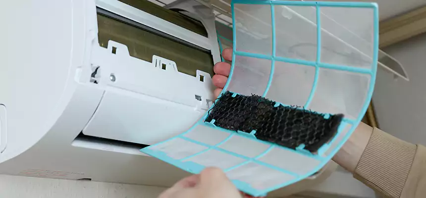 Gentle Ductwork Odor-Control Pet Dander Duct Cleaning in Belmont, MA