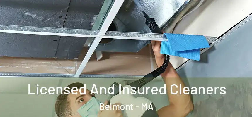 Licensed And Insured Cleaners Belmont - MA