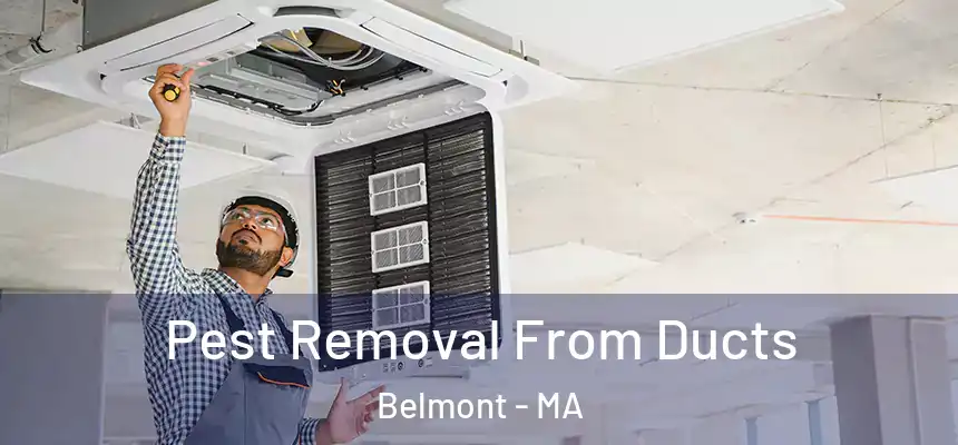 Pest Removal From Ducts Belmont - MA