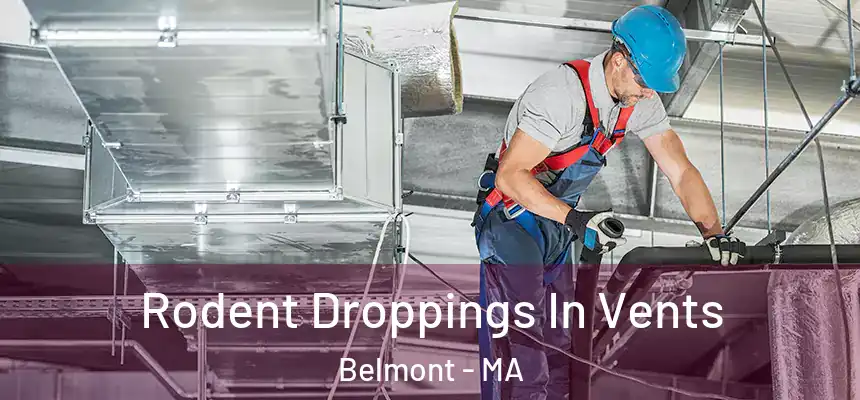  Rodent Droppings In Vents Belmont - MA
