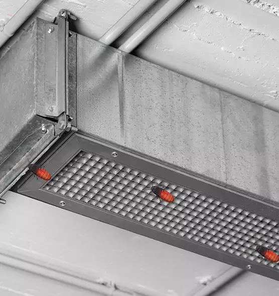 About Air Duct Cockroach Removal in Belmont, MA