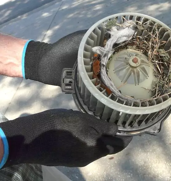 About Air Duct Mice Removal in Belmont, MA