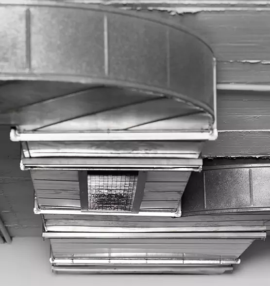 Professional Air Duct Pest Removal in Belmont, MA