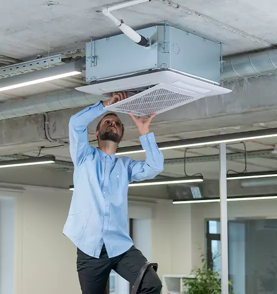 Advanced Rodent Droppings In Vents in Belmont, MA