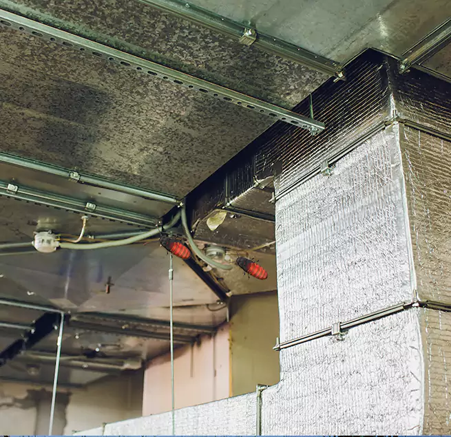 Why Homeowners & Businesses Trust Us in Belmont, MA?