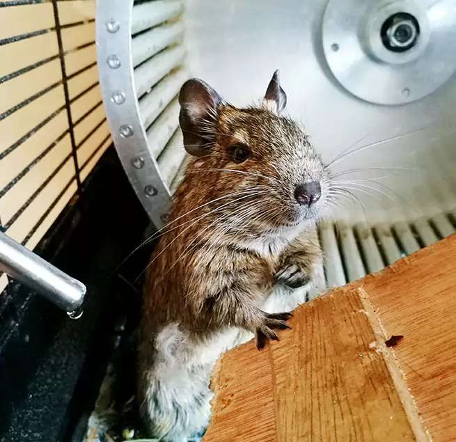 Why Homeowners & Businesses Trust Us Belmont, MA