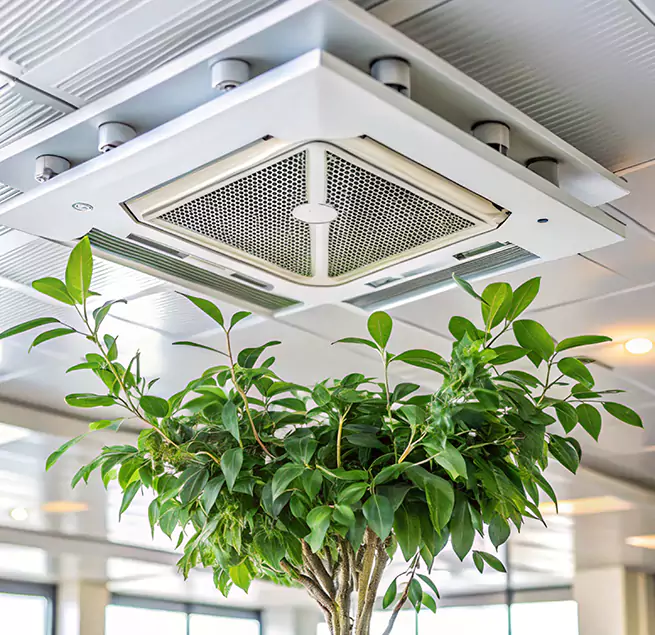 Why Homeowners & Businesses Trust Us in Belmont, MA?