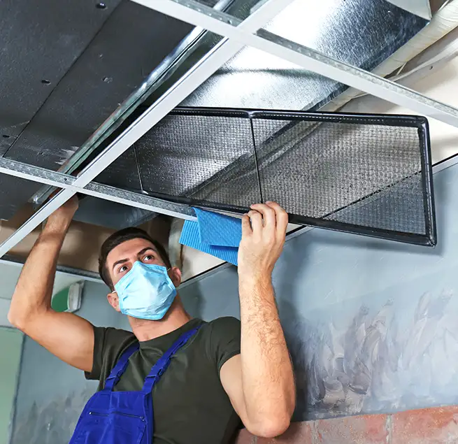 Why Homeowners & Businesses Trust Us in Belmont, MA?