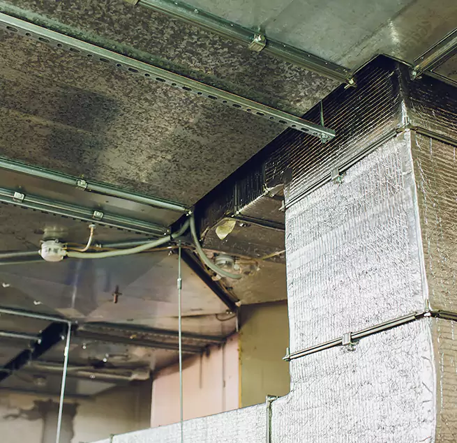 Why Homeowners & Businesses Trust Us in Belmont, MA?